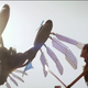 Image for article titled 50 glorious screencaps from John Carter offer your first real look at the Tharks!